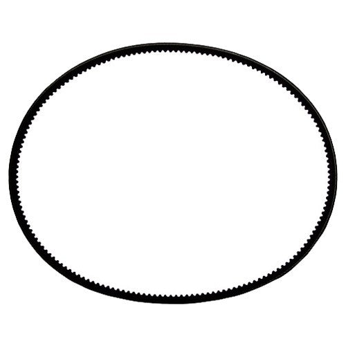 Cinghia di Trasmissione Originale Piaggio per Ciao 50 PX FL senza variatore - MyMoped