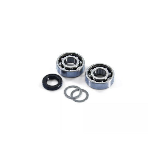 Kit Cuscinetti e Paraoli Albero Motore Polini per Piaggio Ciao/Si/Bravo - MyMoped